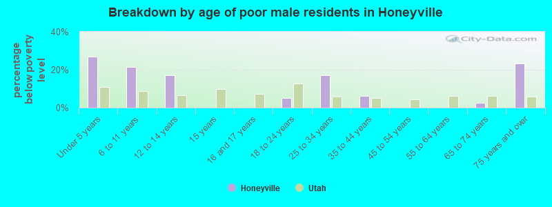 Breakdown by age of poor male residents in Honeyville