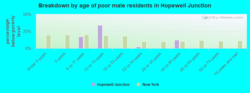 Breakdown by age of poor male residents in Hopewell Junction