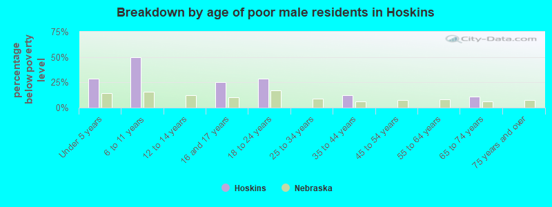 Breakdown by age of poor male residents in Hoskins