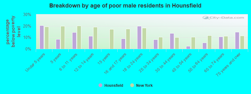 Breakdown by age of poor male residents in Hounsfield