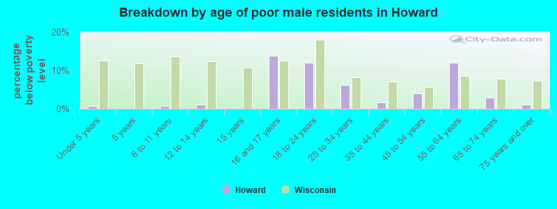 Breakdown by age of poor male residents in Howard