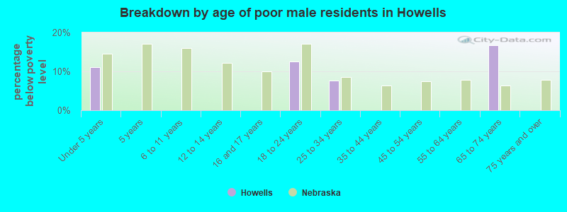 Breakdown by age of poor male residents in Howells