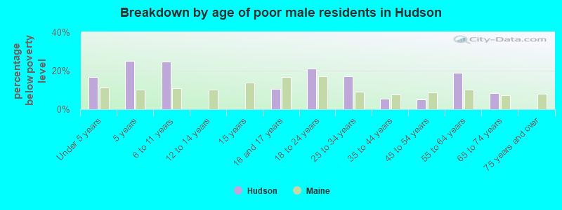 Breakdown by age of poor male residents in Hudson