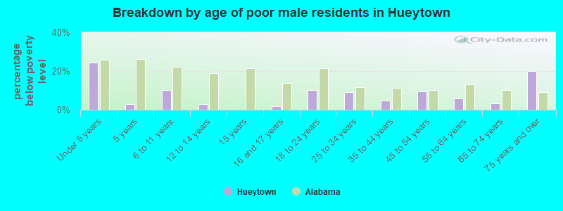 Breakdown by age of poor male residents in Hueytown