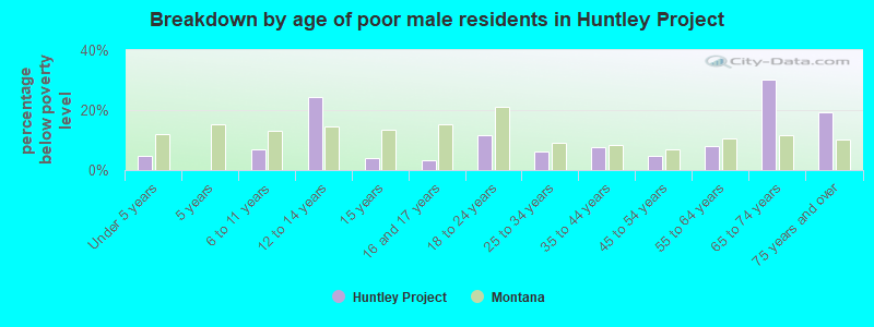 Breakdown by age of poor male residents in Huntley Project