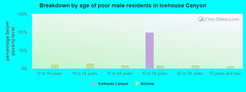 Breakdown by age of poor male residents in Icehouse Canyon