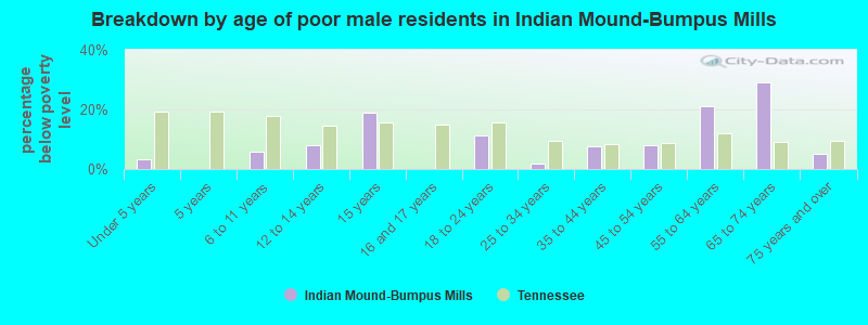 Breakdown by age of poor male residents in Indian Mound-Bumpus Mills