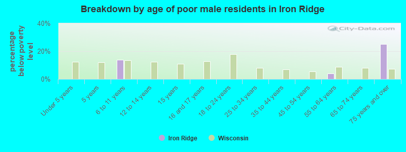 Breakdown by age of poor male residents in Iron Ridge