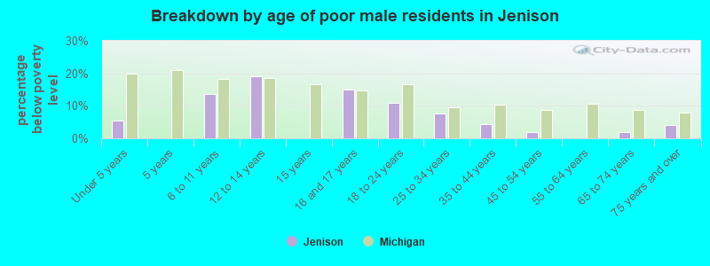 Breakdown by age of poor male residents in Jenison