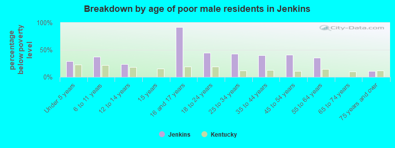 Breakdown by age of poor male residents in Jenkins