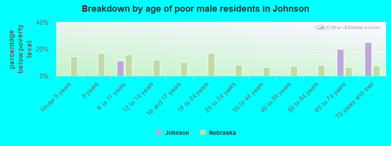 Breakdown by age of poor male residents in Johnson