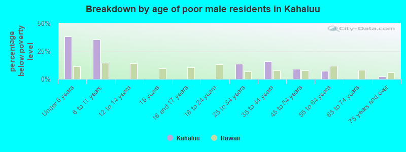 Breakdown by age of poor male residents in Kahaluu