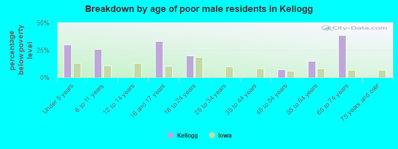 Breakdown by age of poor male residents in Kellogg
