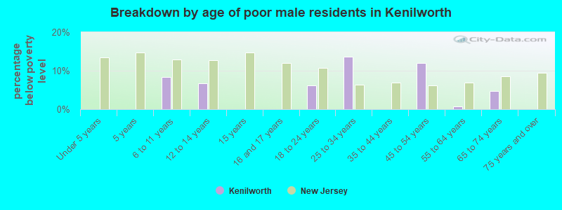 Breakdown by age of poor male residents in Kenilworth