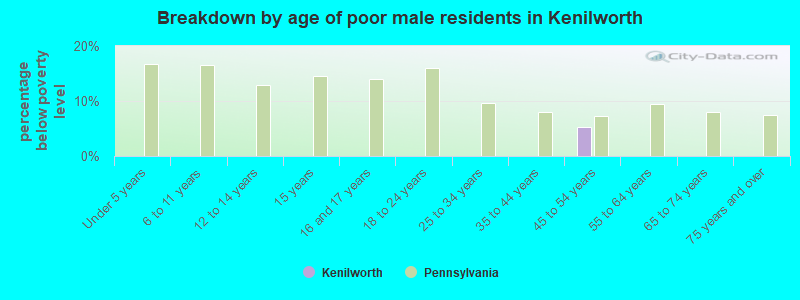 Breakdown by age of poor male residents in Kenilworth