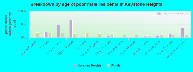 Breakdown by age of poor male residents in Keystone Heights