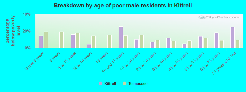 Breakdown by age of poor male residents in Kittrell