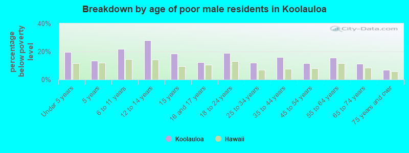 Breakdown by age of poor male residents in Koolauloa