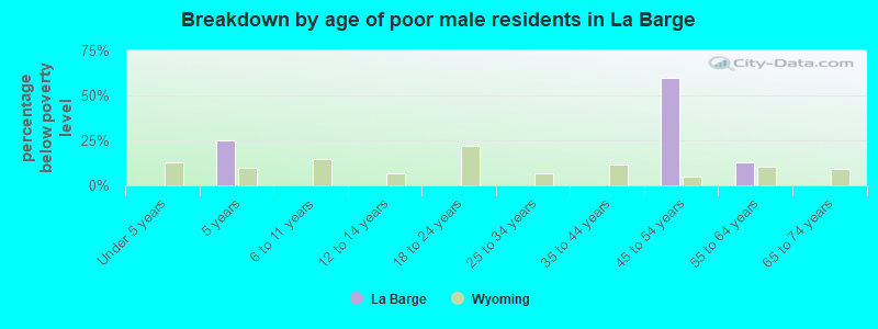 Breakdown by age of poor male residents in La Barge