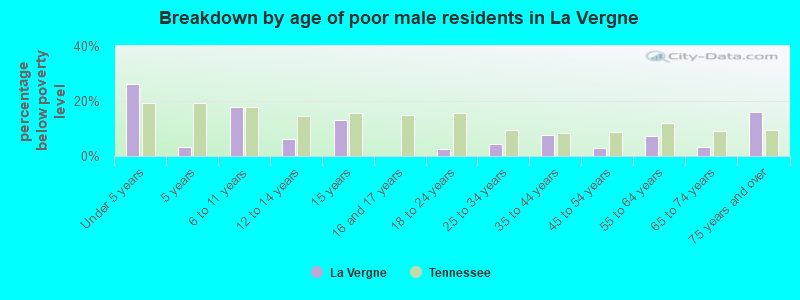 Breakdown by age of poor male residents in La Vergne