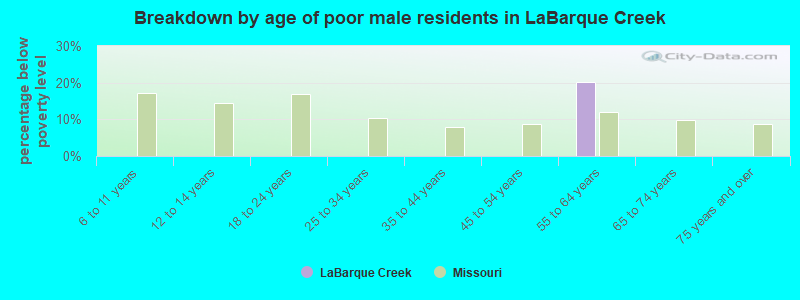 Breakdown by age of poor male residents in LaBarque Creek
