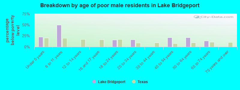 Breakdown by age of poor male residents in Lake Bridgeport