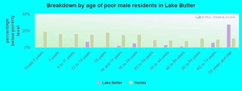 Breakdown by age of poor male residents in Lake Butter