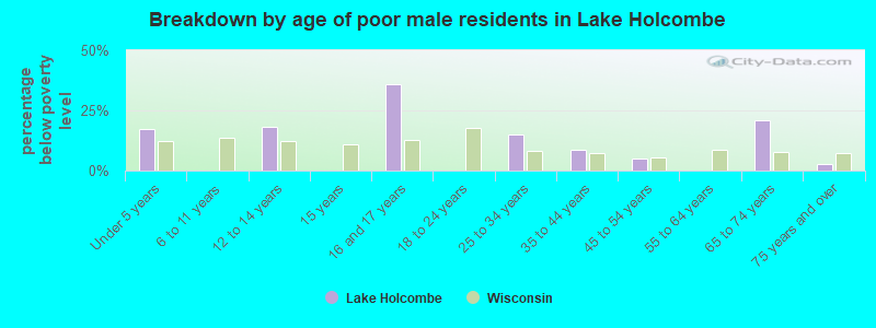 Breakdown by age of poor male residents in Lake Holcombe