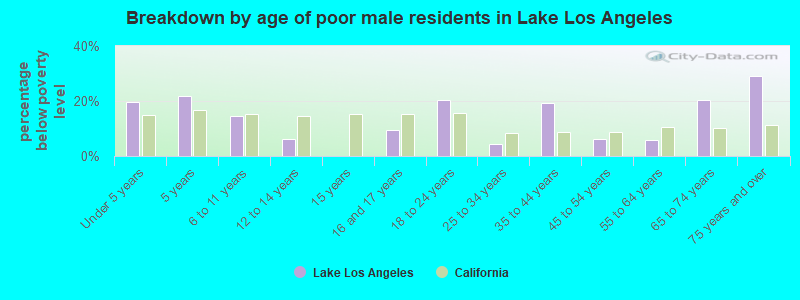 Breakdown by age of poor male residents in Lake Los Angeles