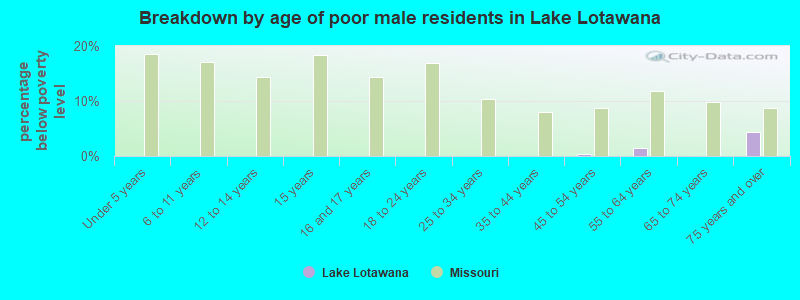Breakdown by age of poor male residents in Lake Lotawana