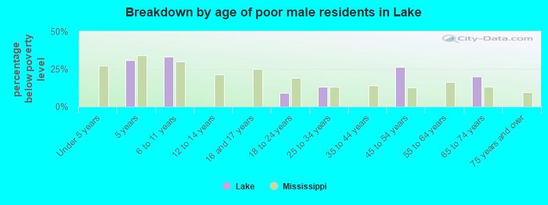 Breakdown by age of poor male residents in Lake