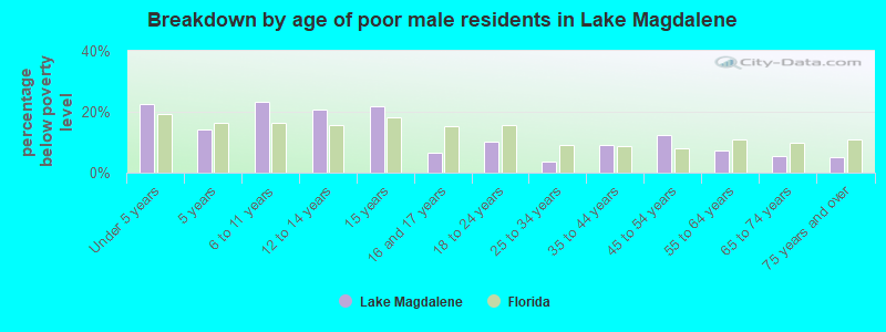 Breakdown by age of poor male residents in Lake Magdalene