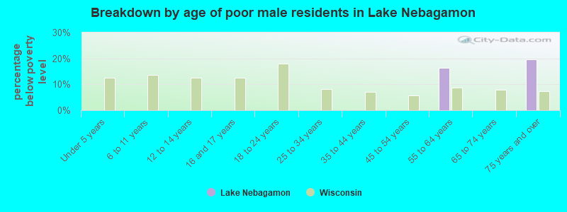 Breakdown by age of poor male residents in Lake Nebagamon