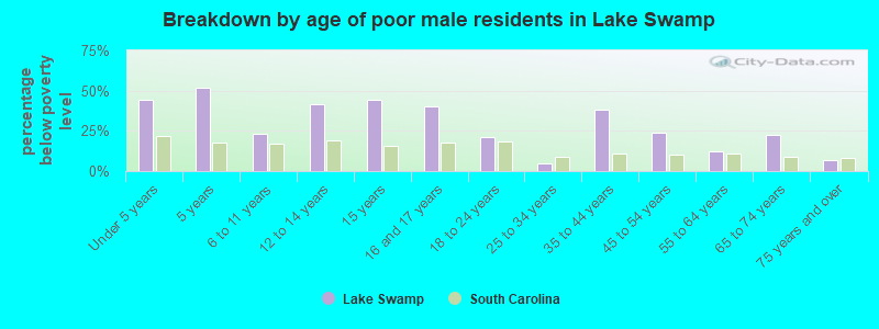 Breakdown by age of poor male residents in Lake Swamp