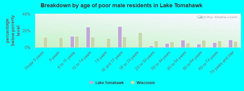 Breakdown by age of poor male residents in Lake Tomahawk