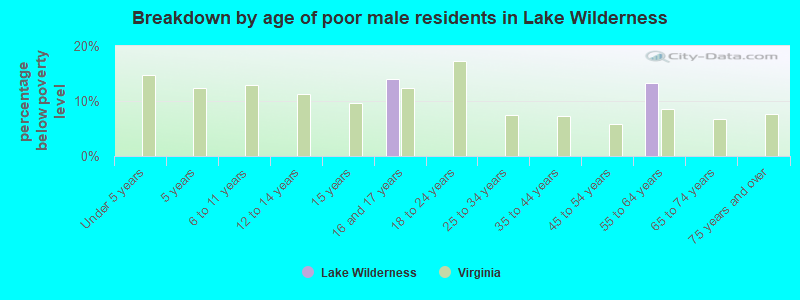 Breakdown by age of poor male residents in Lake Wilderness