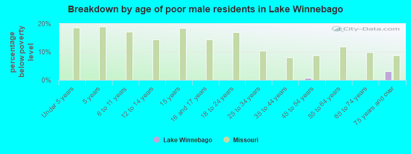 Breakdown by age of poor male residents in Lake Winnebago