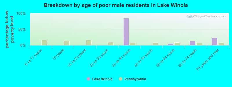Breakdown by age of poor male residents in Lake Winola