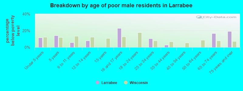 Breakdown by age of poor male residents in Larrabee