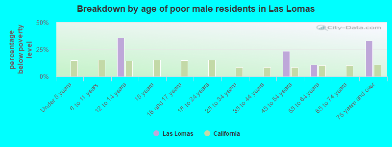 Breakdown by age of poor male residents in Las Lomas