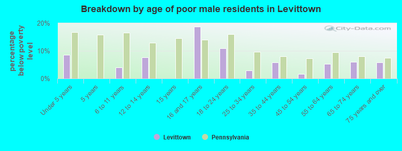 Breakdown by age of poor male residents in Levittown