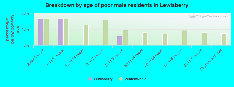 Breakdown by age of poor male residents in Lewisberry