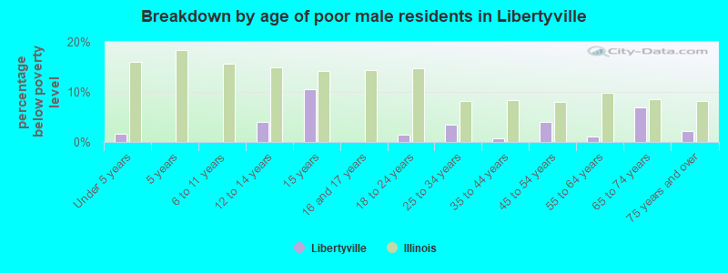 Breakdown by age of poor male residents in Libertyville