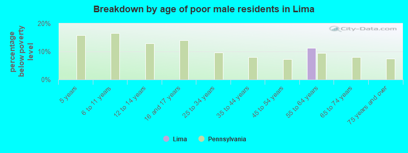 Breakdown by age of poor male residents in Lima