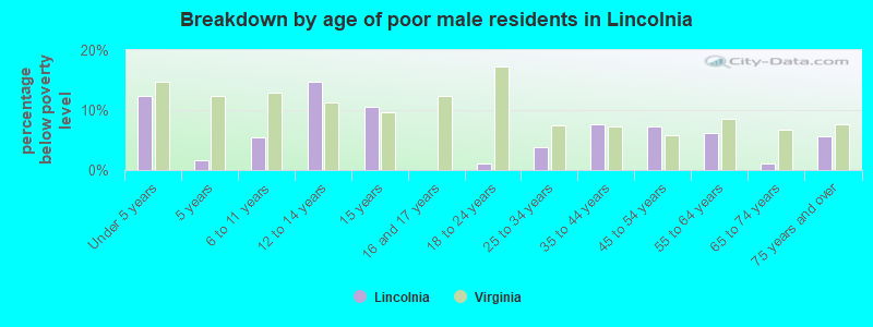 Breakdown by age of poor male residents in Lincolnia