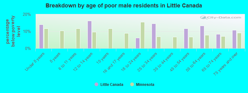 Breakdown by age of poor male residents in Little Canada