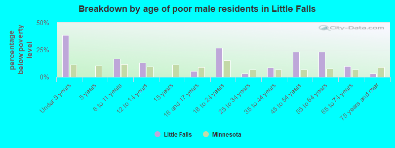Breakdown by age of poor male residents in Little Falls