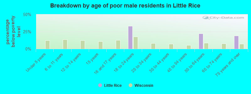 Breakdown by age of poor male residents in Little Rice