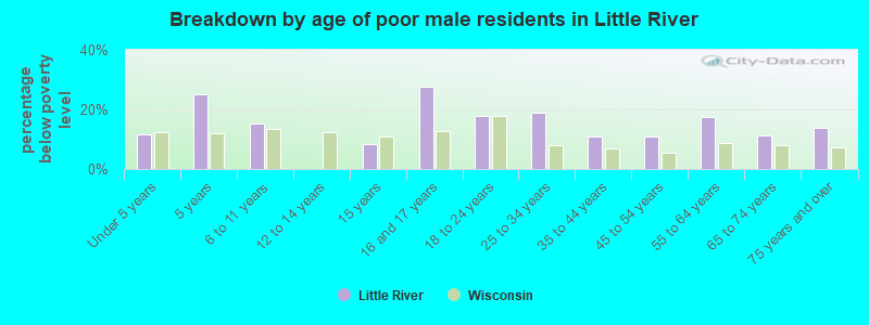 Breakdown by age of poor male residents in Little River