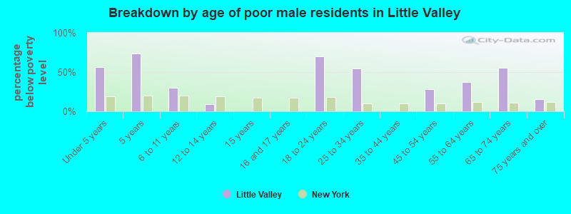 Breakdown by age of poor male residents in Little Valley